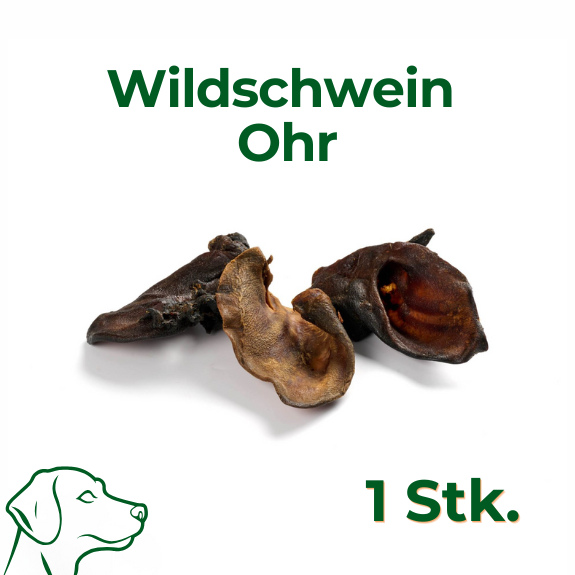 Wildschwein Ohren | 1 Stk.